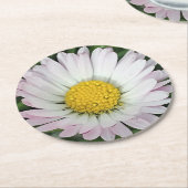 かわいらしデイジー ラウンドペーパーコースター (アングル)