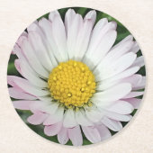 かわいらしデイジー ラウンドペーパーコースター (正面)