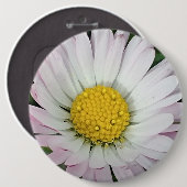 かわいらしデイジー 缶バッジ (正面&裏面)