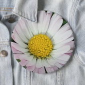 かわいらしデイジー 缶バッジ (インサイチュ)