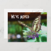 かわいらしバタフライ新住所自然はがき 案内ポストカード (正面/裏面)