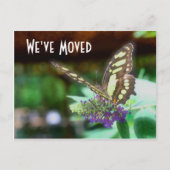 かわいらしバタフライ新住所自然はがき 案内ポストカード (正面)