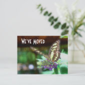 かわいらしバタフライ新住所自然はがき 案内ポストカード (スタンド正面)