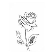 かわいらしバラ花スケッチポスター