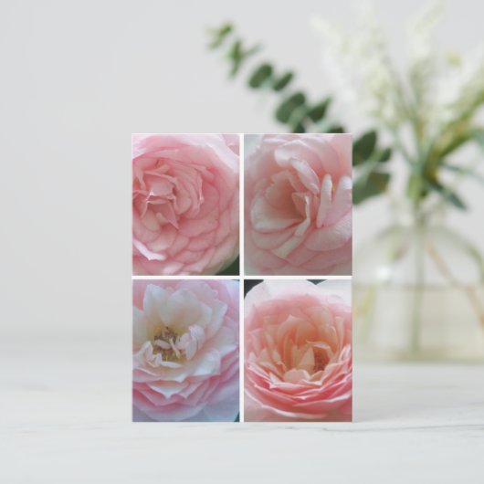 かわいらしバラ ポストカード (スタンド正面)