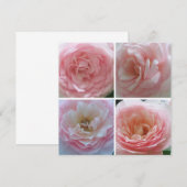 かわいらしバラ 招待状 (正面/裏面)