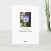 「かわいらしパンジー」 カード (裏面)