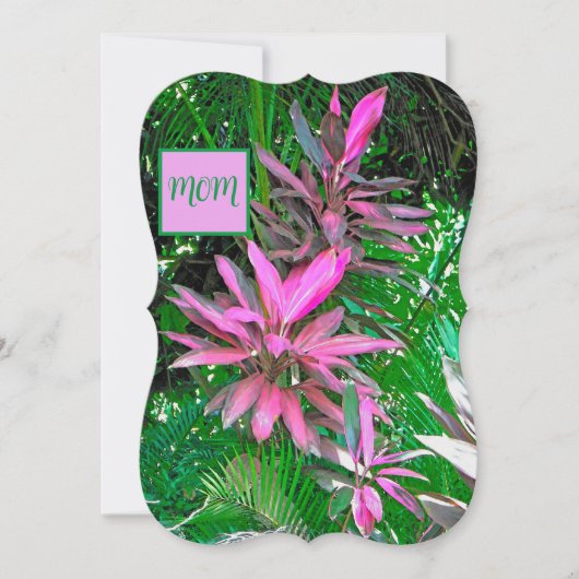 かわいらしピンクの熱帯植物とヤシ葉 (正面)