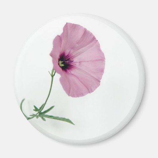 かわいらしピンク マグネット (正面)