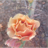 かわいらしピーチの梨の花 シール (正面)