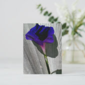 かわいらしフローラはがき ポストカード (スタンド正面)