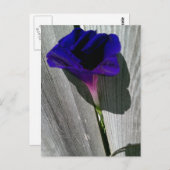 かわいらしフローラはがき ポストカード (正面/裏面)