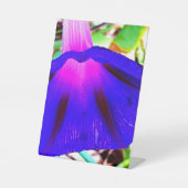 かわいらしフローラ 台座サイン (正面)