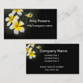 かわいらしプルメリア開花花写真 名刺 (正面/裏面)