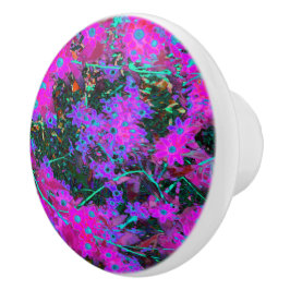 かわいらしホットピンク、マゼンタ、アクアブルー セラミックノブ