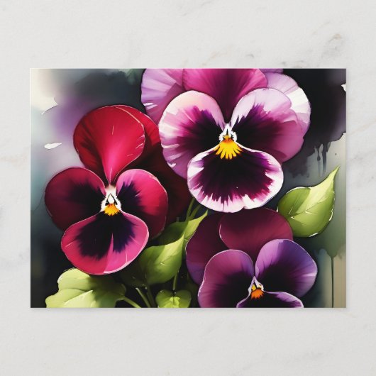 かわいらしマーンダーク赤パン水の色絵を描色 ポストカード (正面)