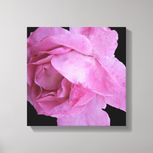 かわいらしモダンピンクシンプルのスタイリッシュフローラ キャンバスプリント (正面)
