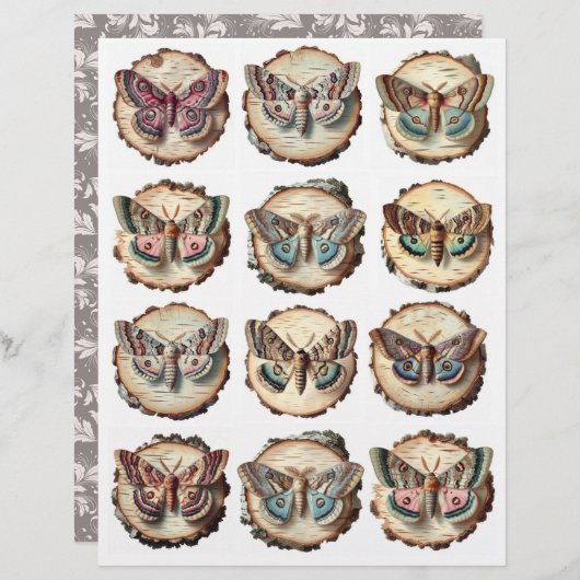 かわいらしモッ絵を描クの樺の木スライスイラスト (正面/裏面)