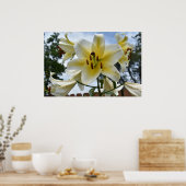 かわいらしユリ ポスター (キッチン)