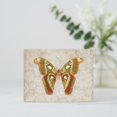 かわいらしヴィンテージガ ポストカード (スタンド正面)