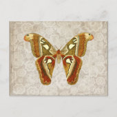 かわいらしヴィンテージガ ポストカード (正面)