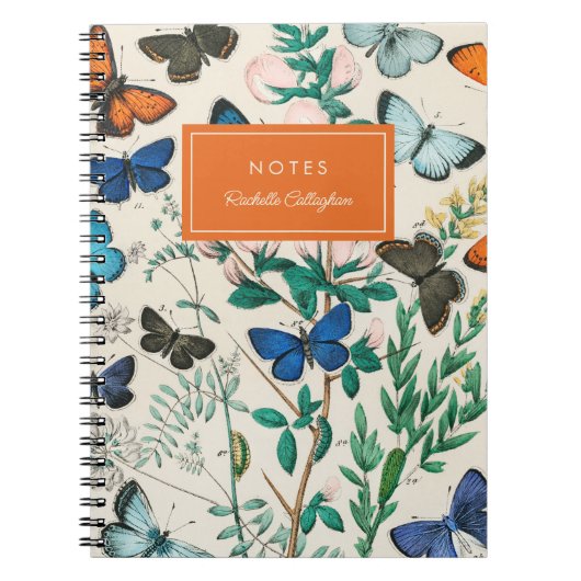 かわいらしヴィンテージ蝶ブルーオレンジの名前 ノートブック (正面)