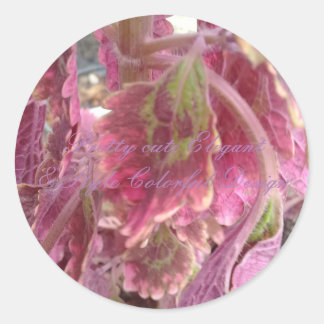 かわいらし可愛いエレガント&スタイルカラフルラウンドステッカー ラウンドシール