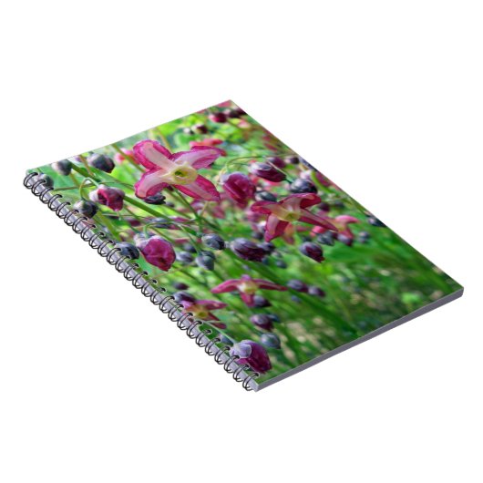 かわいらし妖精の翼（エピミディアム）春花写真 ノートブック (右側)