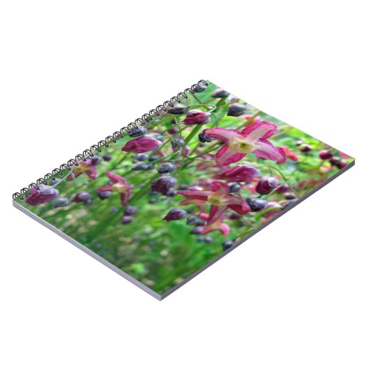 かわいらし妖精の翼（エピミディアム）春花写真 ノートブック (左側)