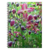 かわいらし妖精の翼（エピミディアム）春花写真 ノートブック (正面)