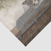 かわいらし子猫グレイ猫 薄葉紙 (詳細)