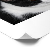 かわいらし子猫ポスター ポスター (角)