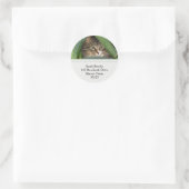 かわいらし子猫住所 シール (バッグ)