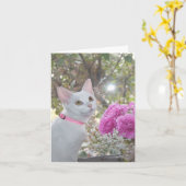 かわいらし子猫札 カード (黄色い花)