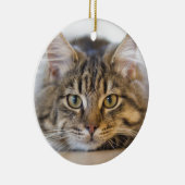 かわいらし子猫 セラミックオーナメント (右)