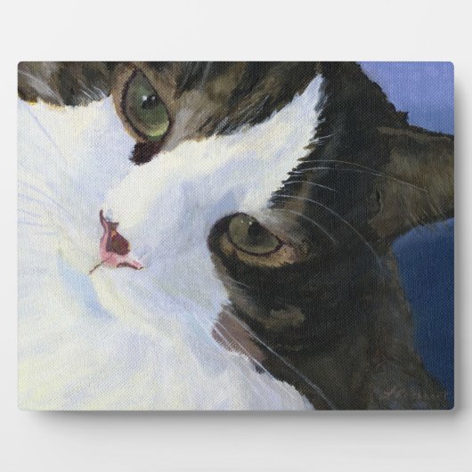 かわいらし子猫 フォトプラーク (正面)