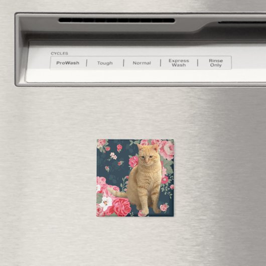 かわいらし子猫 マグネット (インサイチュ (食洗機))