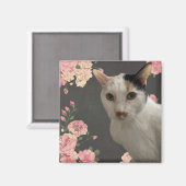 かわいらし子猫 マグネット (正面/裏面)