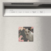 かわいらし子猫 マグネット (インサイチュ (食洗機))