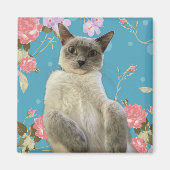 かわいらし子猫 マグネット (正面)