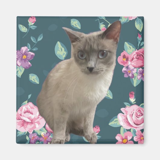 かわいらし子猫 マグネット (正面)