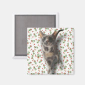 かわいらし子猫 マグネット (正面/裏面)