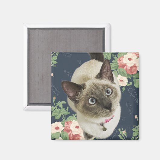 かわいらし子猫 マグネット (正面/裏面)