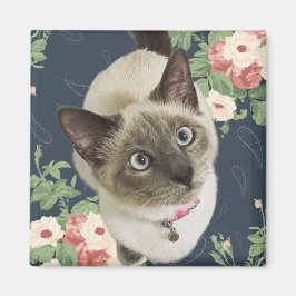 かわいらし子猫 マグネット