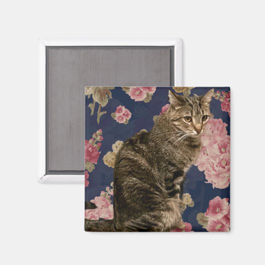 かわいらし子猫 マグネット (正面/裏面)