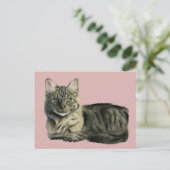 かわいらし家庭用中毛キティ猫の水色 ポストカード (スタンド正面)