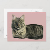 かわいらし家庭用中毛キティ猫の水色 ポストカード (正面/裏面)