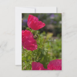 かわいらし庭のピンクのケシ ノートカード