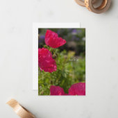 かわいらし庭のピンクのケシ ノートカード (正面/裏面インサイチュ)