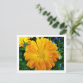かわいらし新黄デイジー花 ポストカード (スタンド正面)
